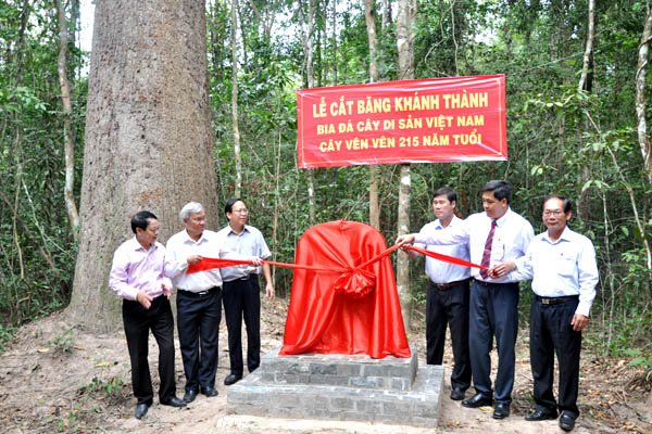 Đề cử Vườn Quốc gia Lò Gò - Xa Mát là Vườn di sản ASEAN